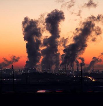 Boletín informativo exportaciones no petroleras